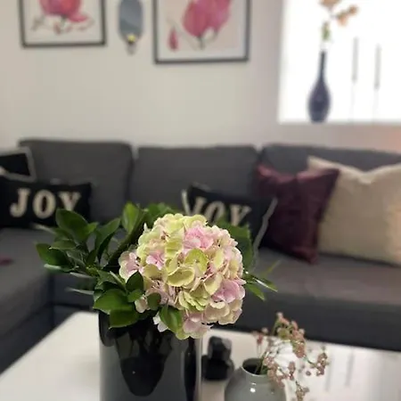 Apartment Family Friendly, Free Parking Space, Newly Renovated 3 *