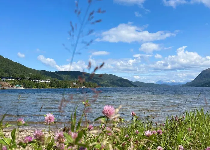 Lägenhet Charming Modern Close To Moa &